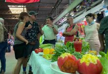 Ministerio de Agricultura destaca variedad y producción de frutas y verduras en época de verano