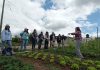 Ministerios de Agricultura y de la Mujer y la Equidad de Género relevan inédito curso online dirigido a mujeres profesionales del sector agrícola