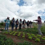 Ministerios de Agricultura y de la Mujer y la Equidad de Género relevan inédito curso online dirigido a mujeres profesionales del sector agrícola