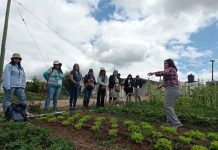 Ministerios de Agricultura y de la Mujer y la Equidad de Género relevan inédito curso online dirigido a mujeres profesionales del sector agrícola