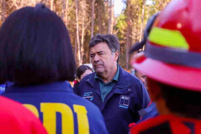 Ministro de agricultura destaca labores de combate de los incendios en la región del Biobío y llama a permanecer alerta