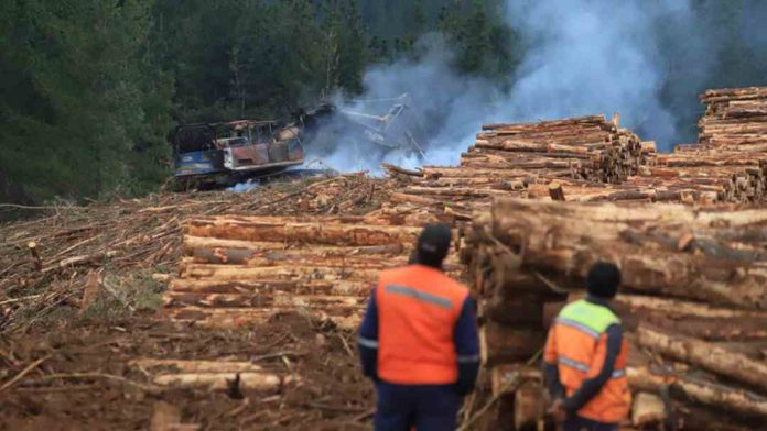 ONG Campo Seguro expectante frente a la promulgación de la Nueva Ley Antiterrorista 