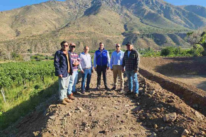 Pequeño productor de Salamanca asegurará producción de uva pisquera con nueva obra de acumulación bonificada por la Ley de Riego