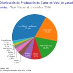 Producción de carne en vara de ganado bovino de la Región del Biobío presentó un incremento interanual de 3,9% en diciembre de 2024