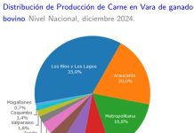 Producción de carne en vara de ganado bovino de la Región del Biobío presentó un incremento interanual de 3,9% en diciembre de 2024