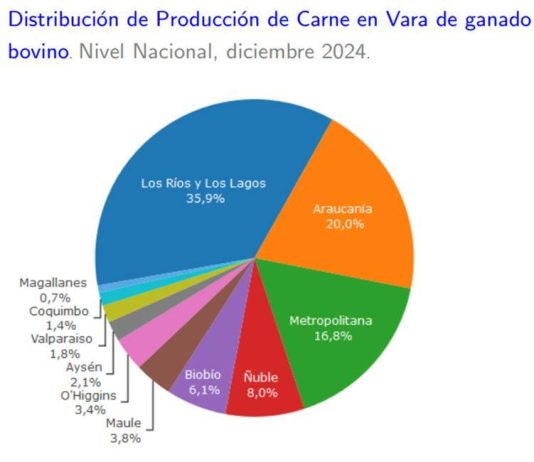 Producción de carne en vara de ganado bovino de la Región del Biobío presentó un incremento interanual de 3,9% en diciembre de 2024