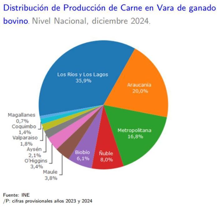 Producción de carne en vara de ganado bovino de la Región del Biobío presentó un incremento interanual de 3,9% en diciembre de 2024