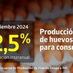 Producción de huevos de consumo presentó un aumento interanual de 2,5% en diciembre de 2024