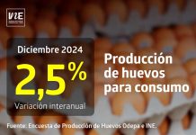 Producción de huevos de consumo presentó un aumento interanual de 2,5% en diciembre de 2024