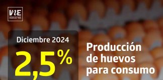 Producción de huevos de consumo presentó un aumento interanual de 2,5% en diciembre de 2024