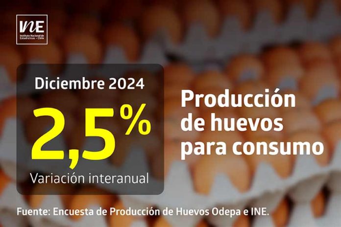 Producción de huevos de consumo presentó un aumento interanual de 2,5% en diciembre de 2024