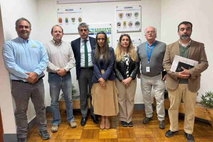 Programa Territorial Integrado de la Carne Bovina Los Lagos busca fortalecer lazos con el Gobierno Regional para potenciar el sector ganadero