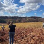 Repercusiones del humo de incendios forestales en vinos y uvas serán analizadas por expertos nacionales y extranjeros