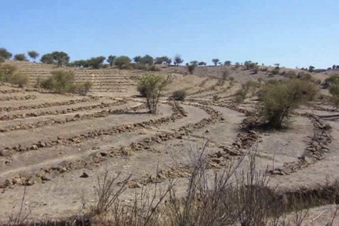 SAG Biobío invita a agricultoresas a postular a concurso regional del Sistema de Incentivos para la Sustentabilidad Agroambiental de Suelos Agropecuarios (SIRSD-S)