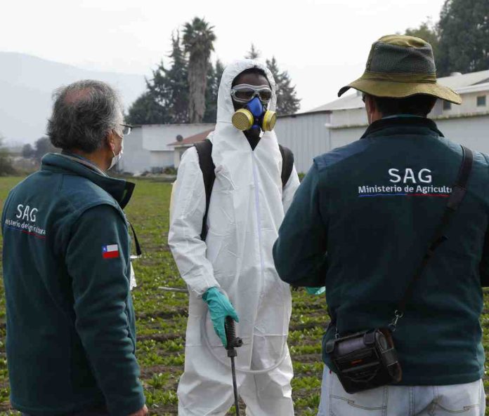 SAG prohíbe tres nuevos plaguicidas de uso agrícola