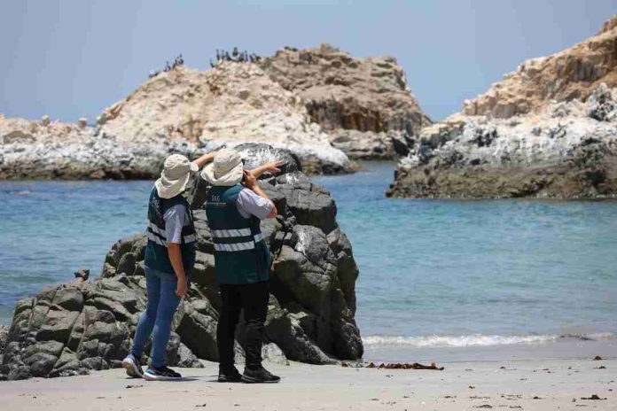 SAG refuerza vigilancia tras primeros casos de influenza aviar en Perú