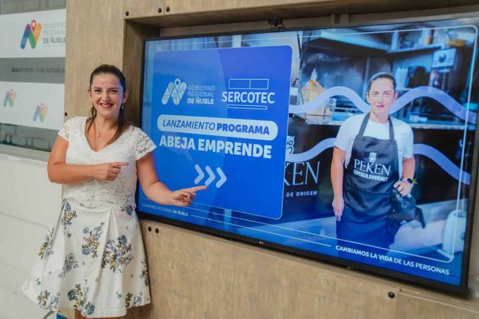 Sercotec y el Gobierno Regional abren postulación a programa Abeja Emprende