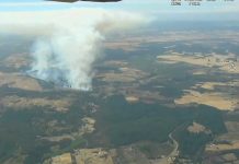 CONAF refuerza recursos terrestres y aéreos en el combate de incendios forestales en la Región de La Araucanía