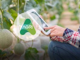 AGRI, desarrolla un Software para aumentar la rentabilidad frutícola, software para frutícolas