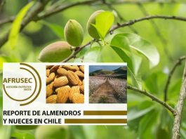 REPORTE 94 DE ALMENDROS Y NUECES EN CHILE. AFRUSEC Abril  2025.