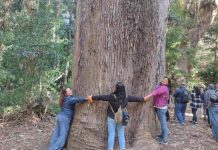 Agricultores del Maule fortalecen su compromiso con la biodiversidad en el marco del Programa TAS