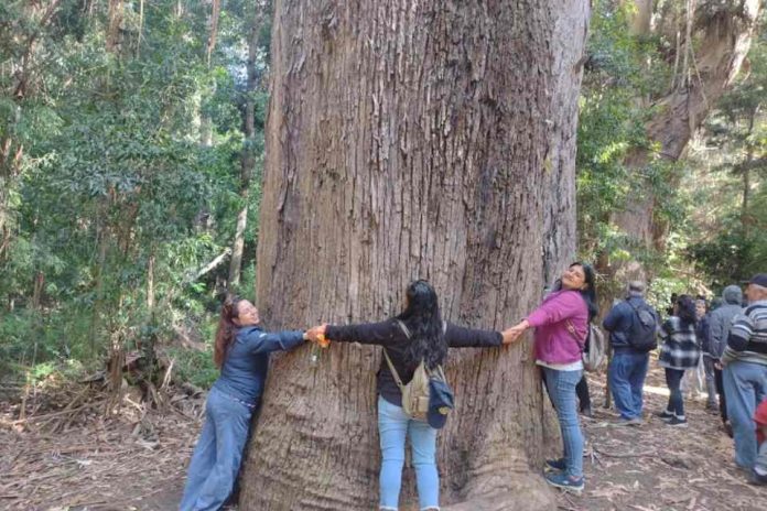 Agricultores del Maule fortalecen su compromiso con la biodiversidad en el marco del Programa TAS