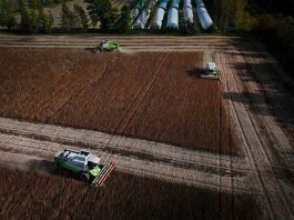 Agricultura en tiempo real: el campo conectado y la lógica digital del presente