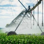 Agronomía UdeC realizará seminario sobre Manejo del Riego en la Agricultura