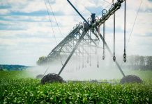 Agronomía UdeC realizará seminario sobre Manejo del Riego en la Agricultura