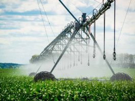 Agronomía UdeC realizará seminario sobre Manejo del Riego en la Agricultura