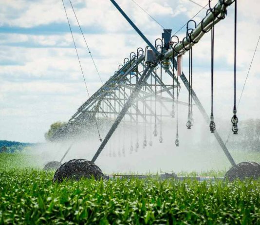 Agronomía UdeC realizará seminario sobre Manejo del Riego en la Agricultura