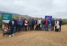 CNR e INIA capacitan a consultores en riego subterráneo y uso de energías renovables CNR e INIA capacitan a consultores en riego subterráneo y uso de energías renovables