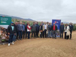 CNR e INIA capacitan a consultores en riego subterráneo y uso de energías renovables CNR e INIA capacitan a consultores en riego subterráneo y uso de energías renovables