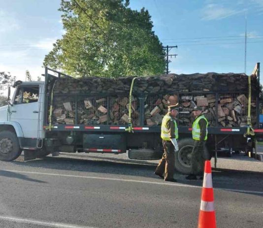 CONAF endurece las fiscalizaciones relativas a la sustracción de madera