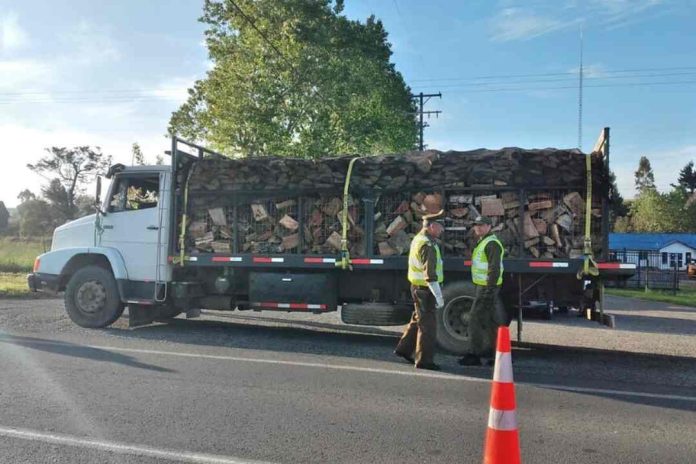 CONAF endurece las fiscalizaciones relativas a la sustracción de madera