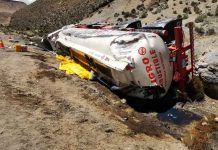 Camión Boliviano derramó 10 mil litros de petróleo al interior del Parque Nacional Lauca