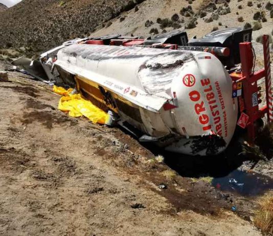 Camión Boliviano derramó 10 mil litros de petróleo al interior del Parque Nacional Lauca