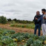 Centro Ceres y Gobierno Regional de Valparaíso confirman compromiso con la agricultura sostenible de la región