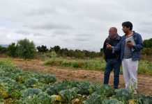 Centro Ceres y Gobierno Regional de Valparaíso confirman compromiso con la agricultura sostenible de la región