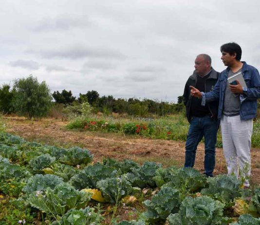 Centro Ceres y Gobierno Regional de Valparaíso confirman compromiso con la agricultura sostenible de la región