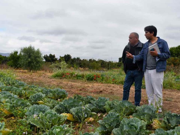 Centro Ceres y Gobierno Regional de Valparaíso confirman compromiso con la agricultura sostenible de la región