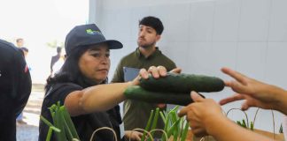 Con apoyo de INDAP: mujeres rurales del Biobío avanzan en autonomía y liderazgo 