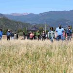 Con el apoyo de Minagri: Programa Global de Doctores de los Suelos llega a la región de Aysén