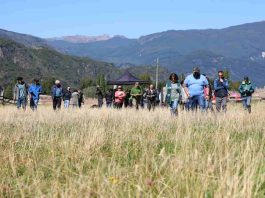 Con el apoyo de Minagri: Programa Global de Doctores de los Suelos llega a la región de Aysén