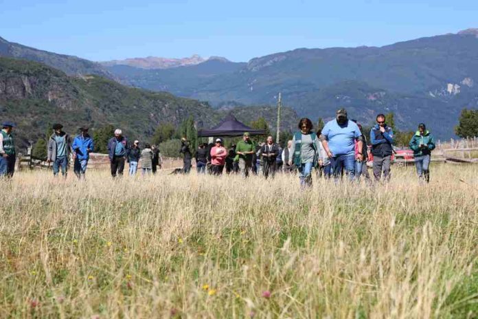 Con el apoyo de Minagri: Programa Global de Doctores de los Suelos llega a la región de Aysén