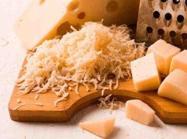 Día mundial del queso: Conoce cómo la tecnología está transformando la industria quesera en Chile Día mundial del queso: Conoce cómo la tecnología está transformando la industria quesera en Chile