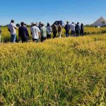 Director nacional de INIA, Carlos Furche, inició en Ñuble gira por regiones con agenda estratégica en agricultura sostenible