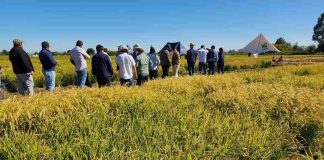 Director nacional de INIA, Carlos Furche, inició en Ñuble gira por regiones con agenda estratégica en agricultura sostenible