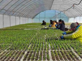 Empresas sostenibles podrán acceder hasta $60 millones para potenciar su crecimiento y adaptación climática