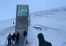 En Noruega: Director Nacional de INIA Chile participó en entrega de semillas a la “Bóveda del Fin del Mundo”